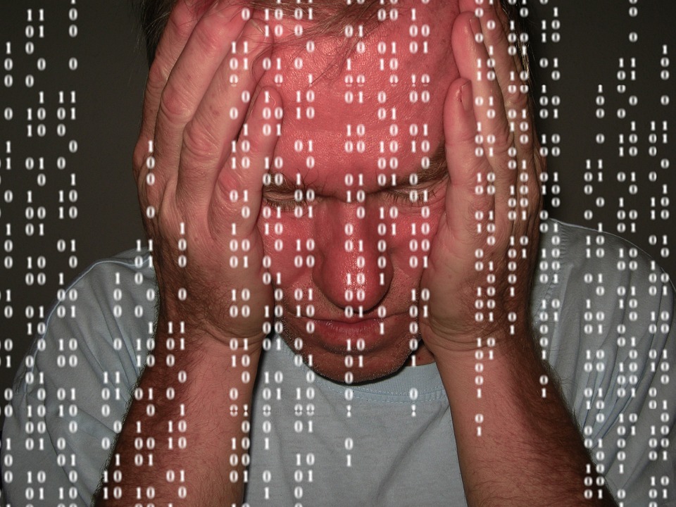 Computer science and information technology programs and careers
